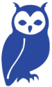 How Wise Then blue owl icon