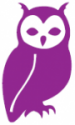 How Wise Then purple owl icon